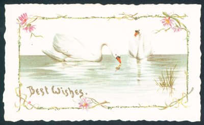 Cisnes no lago, cartão de Natal de English School