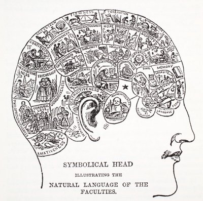 Cabeça simbólica mostrando a linguagem natural das faculdades de English School