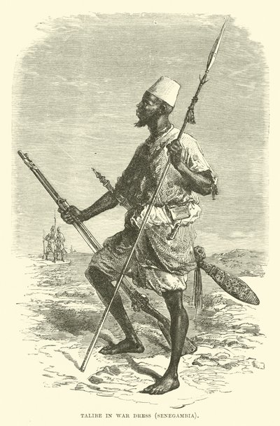 Talibe em vestido de guerra, Senegambia de English School
