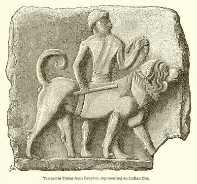 Tablet de Terracota da Babilônia, Representando um Cão Indiano de English School