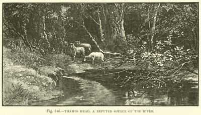 Thames Head, uma fonte de renome do rio de English School