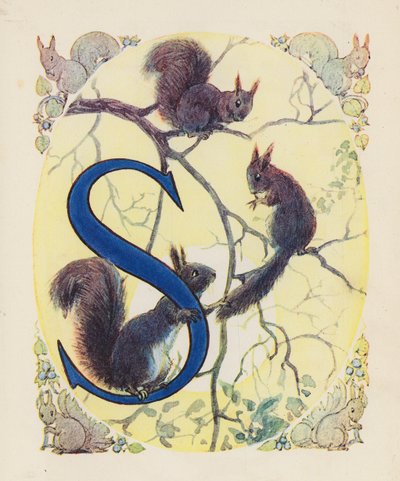 O ABC dos animais: Letra S, Esquilo (litografia a cores) de English School