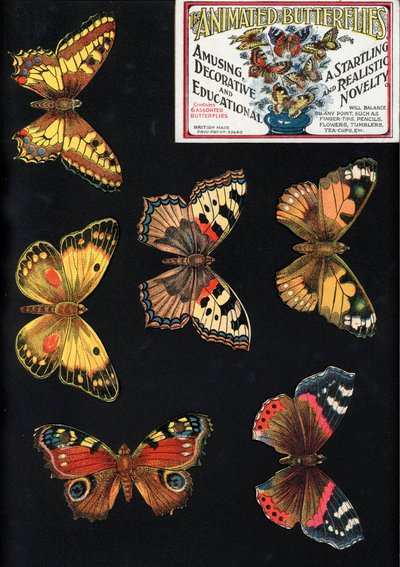As Borboletas Animadas, Divertidas, Decorativas e Educativas, Uma novidade surpreendente e realista (litho colorido) de English School
