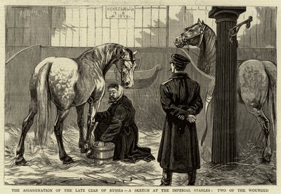 O assassínio do falecido czar da Rússia, um esboço nos estábulos imperiais, dois dos feridos de English School