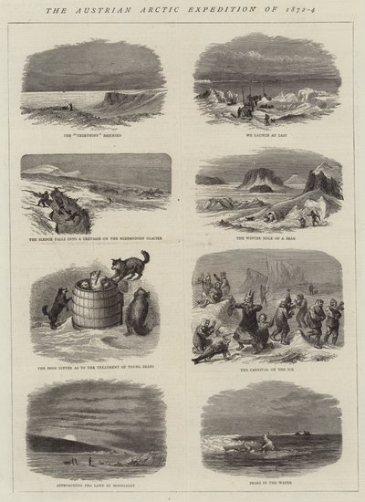 A Expedição Ártica Austríaca de 1872-4 (gravura) de English School
