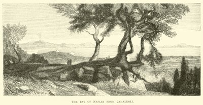 A Baía de Nápoles de Camaldoli de English School