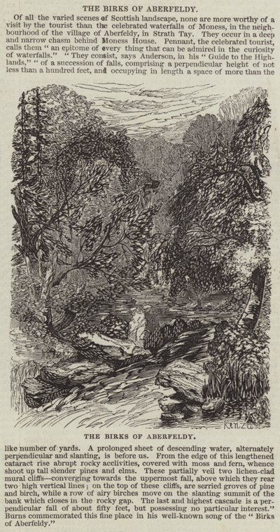 Os Birks of Aberfeldy (gravura) de English School