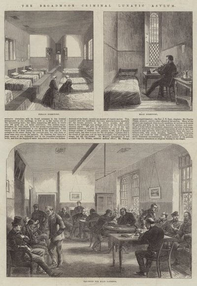 O Broadmoor Criminal Lunatic Asylum (gravura) de English School