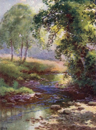 A ribeira (litografia a cores) de English School
