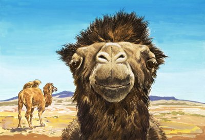 O Camelo, ilustração de "Creatures with Funny Faces" (Criaturas com caras engraçadas) de English School