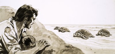 Os náufragos: Terror da Ilha da Tartaruga de English School