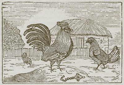 O galo e a joia (gravura) de English School