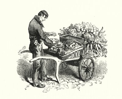 O Costermonger (gravura) de English School