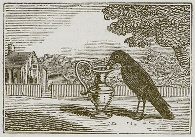 O corvo e o cântaro (gravura) de English School