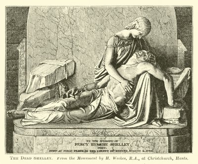 The Dead Shelley de English School