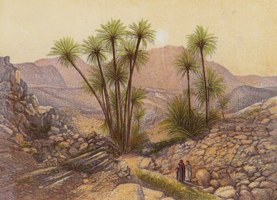 O deserto do Sinai (litografia a cores) de English School