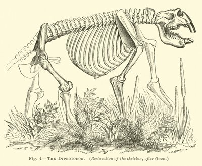 O Diprotodon de English School