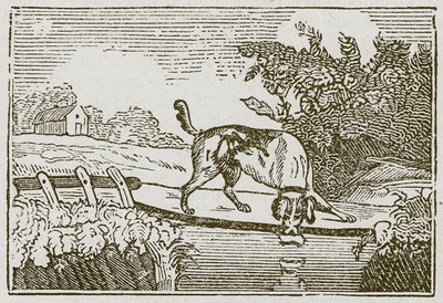 O Cão e a Sombra (gravura) de English School