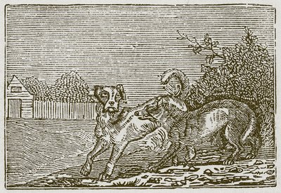 O Cão e o Lobo (gravura) de English School