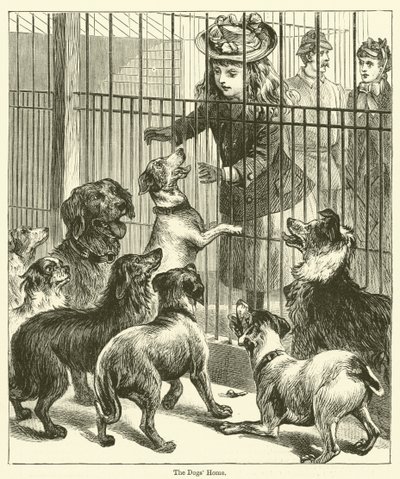 A casa dos cães (gravura) de English School