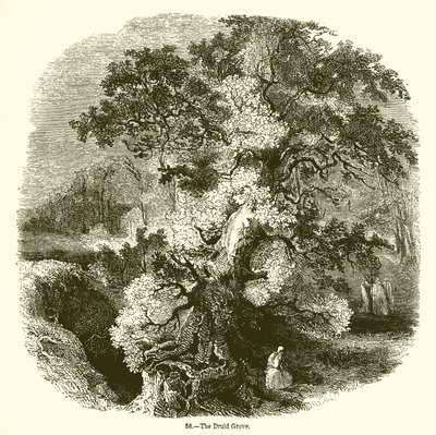 The Druid Grove de English School