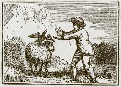 A águia e o corvo (gravura) de English School