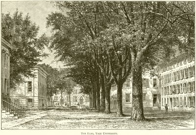 The Elms, Universidade de Yale de English School