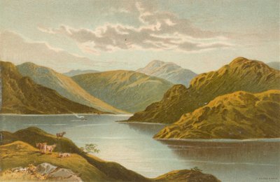 A entrada para o Loch Goil de English School