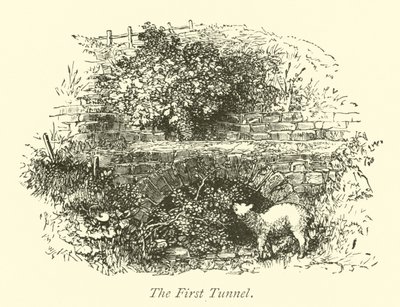 O primeiro túnel de English School