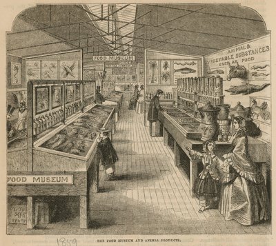 O Museu do Alimento e Produtos Animais, South Kensington Museum de English School