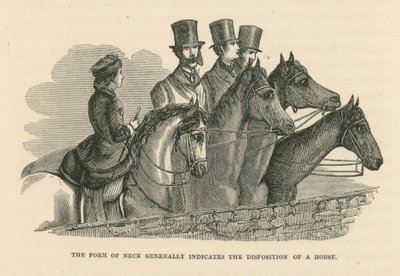 A forma do pescoço indica geralmente a disposição de um cavalo (gravura) de English School