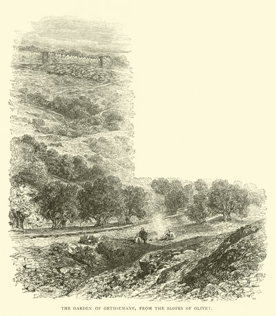O Jardim do Getsêmani, das encostas do Olivet de English School