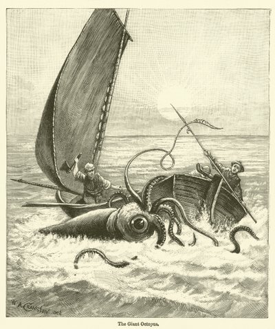 O Polvo Gigante (gravura) de English School