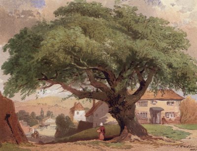 The Great Ash, cena em Surrey (lito colorido) de English School