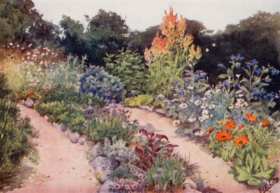 O jardim de ervas: Canteiros de ervas aromáticas em junho (litografia a cores) de English School