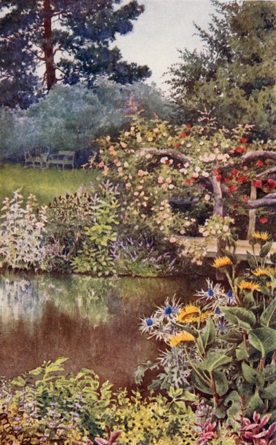 O jardim de ervas: Ervas à beira da água (litografia a cores) de English School
