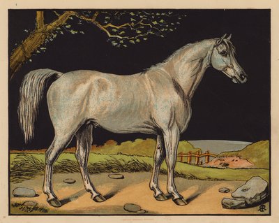 O Cavalo (litografia a cores) de English School
