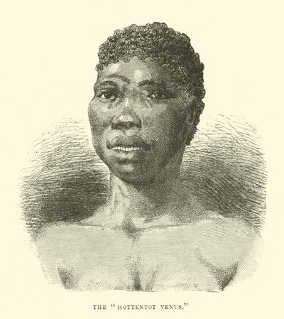 O Hottentot Venus de English School