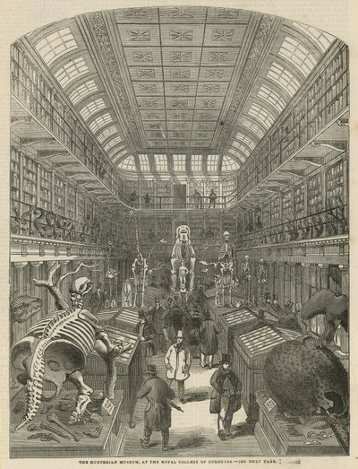 O Museu Hunterian no Royal College of Surgeons de English School