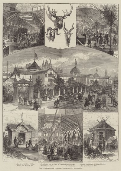 A Exposição Florestal Internacional em Edimburgo (gravura) de English School