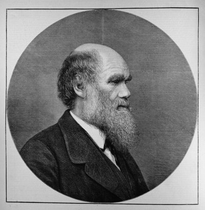 O falecido Sr. CR Darwin, FRS, LLD, de The Illustrated London News, 29 de abril de 1882 de English School
