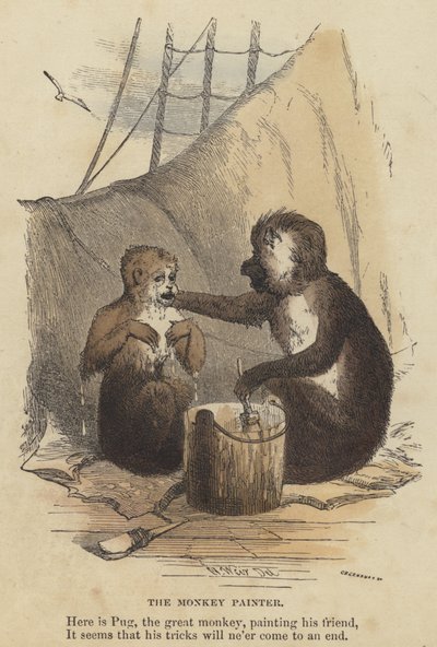 O Pintor Macaco (gravura colorida) de English School