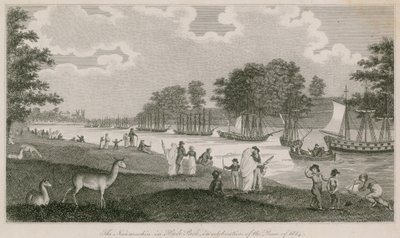 O Naumachia no Hyde Park em comemoração da Paz de 1814 de English School
