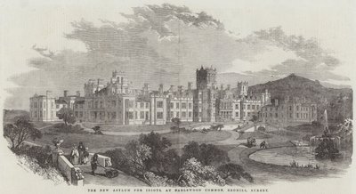 The New Asylum for Idiots, em Earlswood Common, Redhill, Surrey (gravura) de English School
