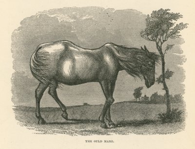 A Égua Ould (gravura) de English School