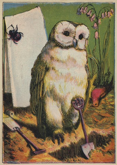 A Coruja, o Escaravelho e o Galo Robin (litografia a cores) de English School