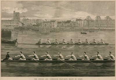 Corrida de Barcos Oxford e Cambridge - pronta para começar de English School
