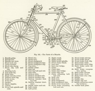 As partes de uma bicicleta de English School