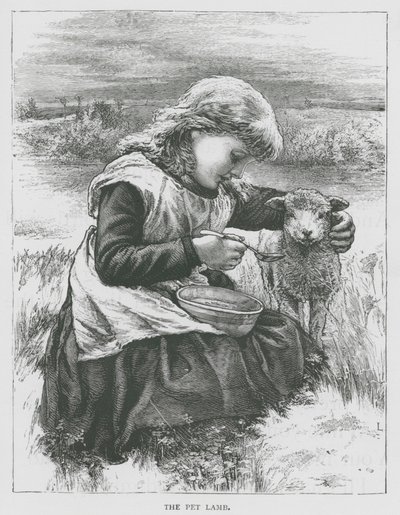 O cordeiro de estimação (gravura) de English School