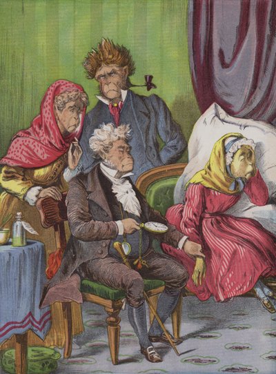 O Médico (chromolitho) de English School